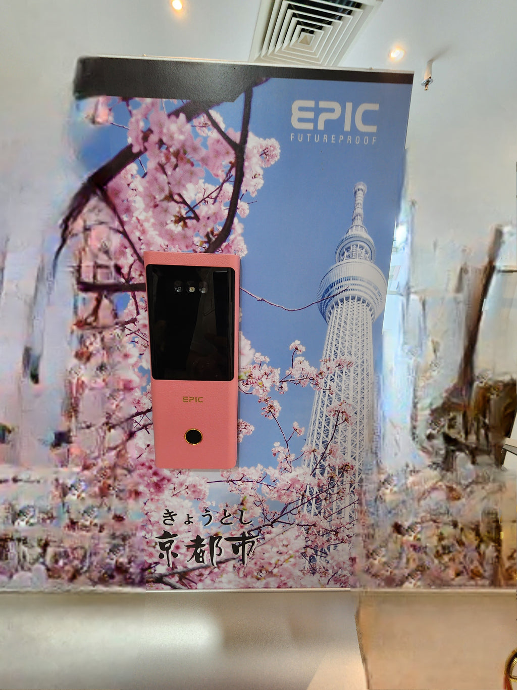 Bundle EPIC 8G Face Recognition Door+Gate