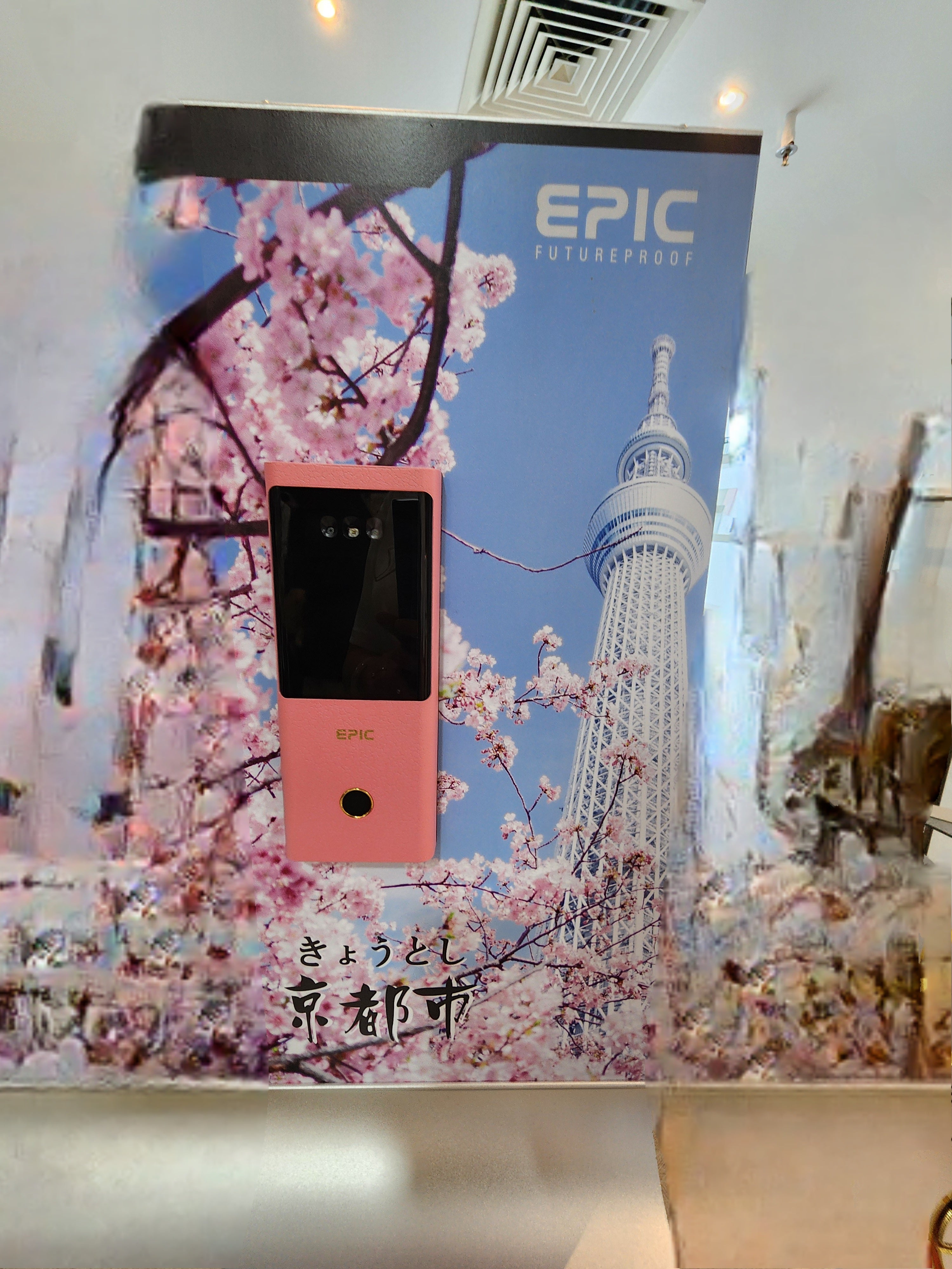 Bundle EPIC 8G Face Recognition Door+Gate