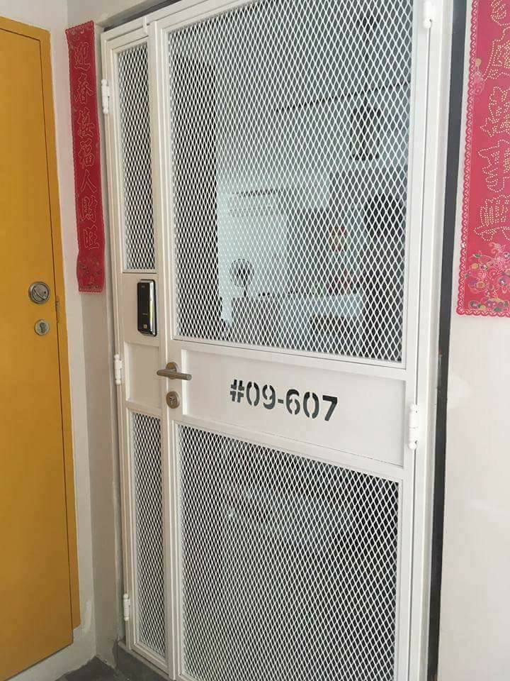 Mild Steel Gate Mesh 11 (Pets friendly)