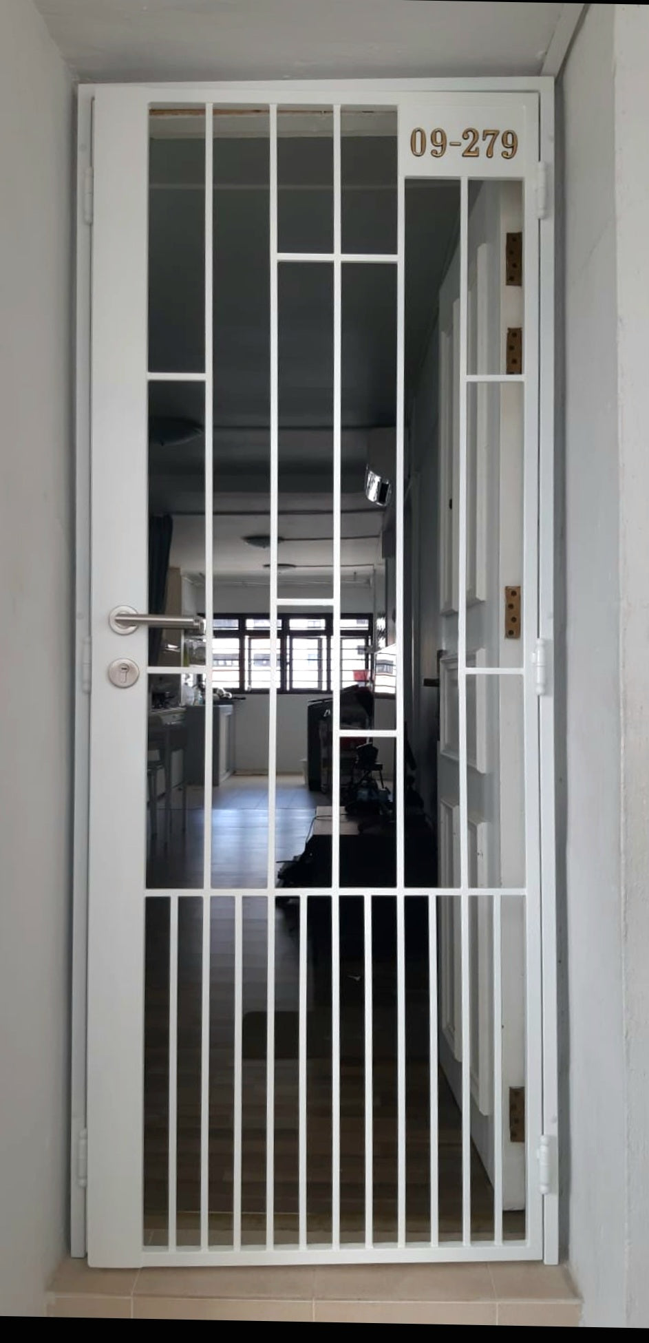 mild steel gate 22 - Modern & Minimalist